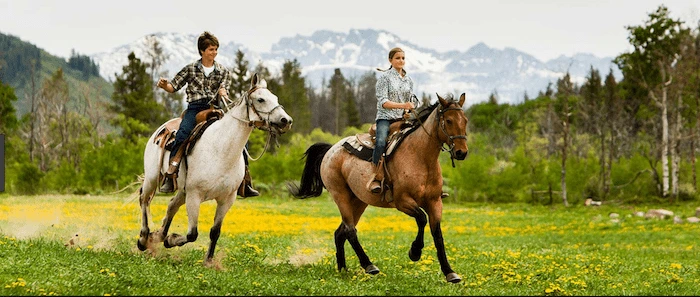 Confident plus-size woman riding Didcot a horse through a field with a smile on her face.